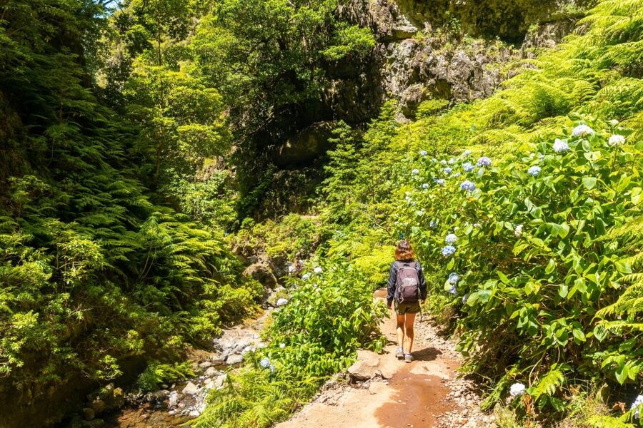 Madeira: Jungle Fever Levada Caldeirao Verde Hike Santana - Starting the day with coffee in Santana