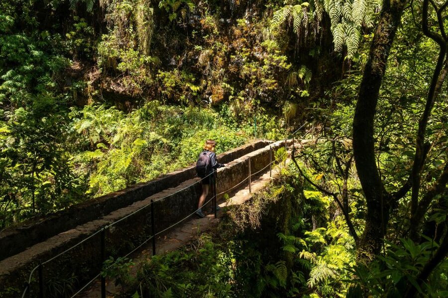 Madeira: Jungle Fever Levada Caldeirao Verde Hike Santana - The return walk and what it demands