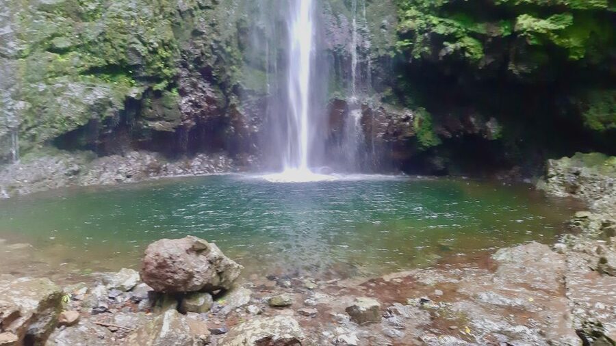 Madeira: Jungle Fever Levada Caldeirao Verde Hike Santana - Weather, closures and flexibility