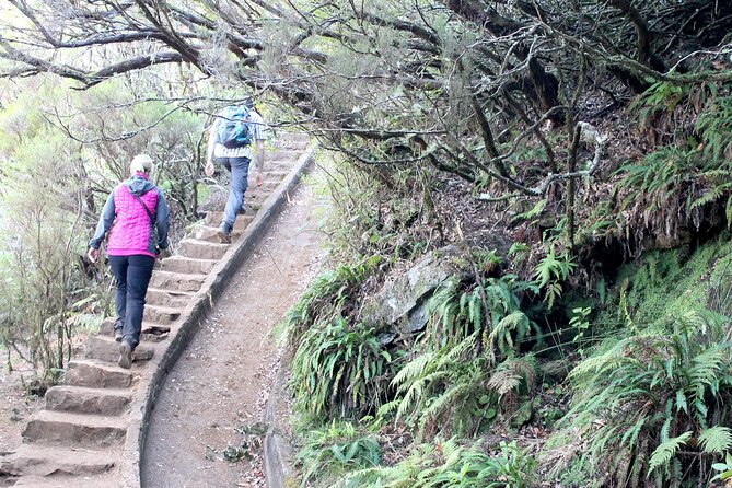 Madeira Lakes - Levada do Alecrim - Who should choose this experience?