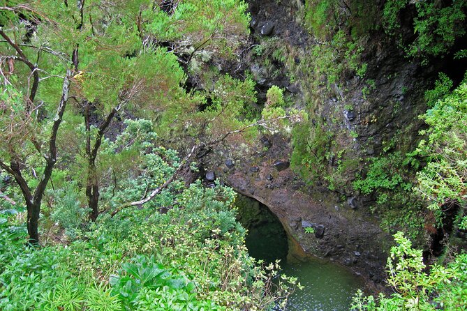 Madeira Levada Walk - Rabacal Lakes and Fountains - From Funchal to the high forest