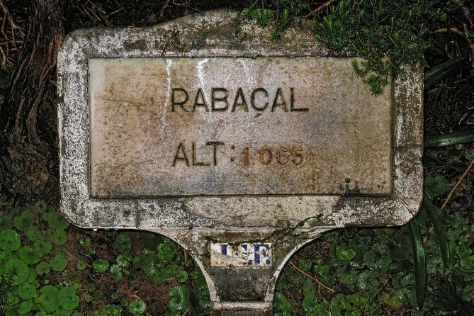 Madeira Levada Walk - Rabacal Lakes and Fountains - Timing, communication, and pickup details