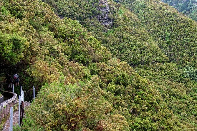 Madeira Levada Walk - Rabacal Lakes and Fountains - Risco Waterfall and the first major views