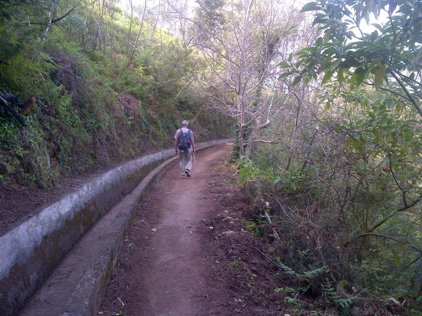 Madeira: Levado do Norte 2-Hour Hiking Tour - The views across Câmara de Lobos and Campanário