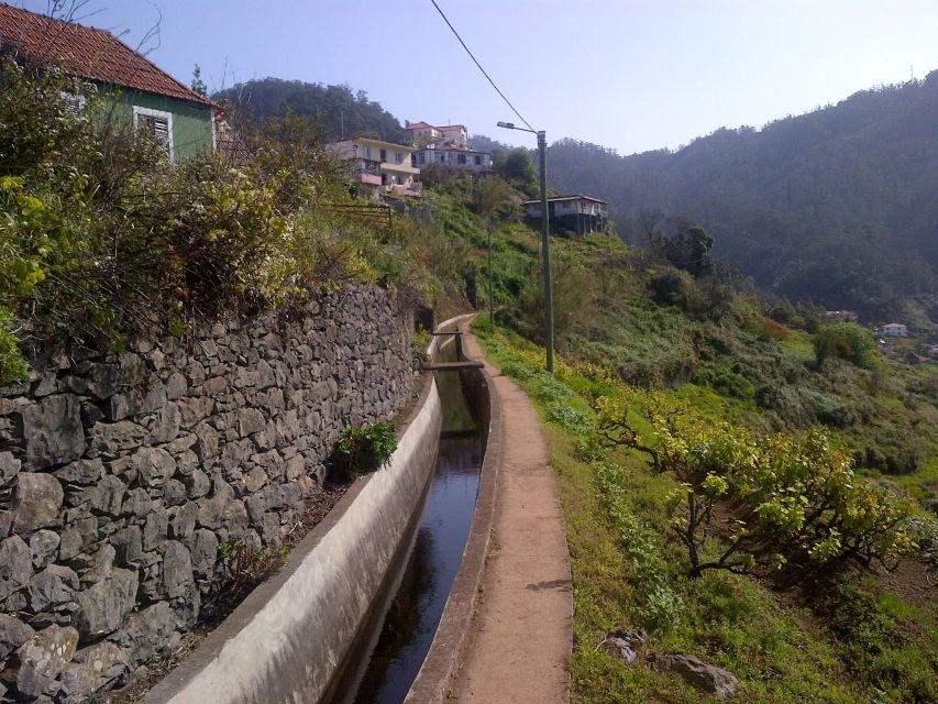 Madeira: Levado do Norte 2-Hour Hiking Tour - Why the mild southern climate helps