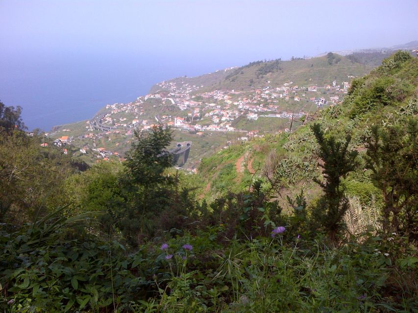 Madeira: Levado do Norte 2-Hour Hiking Tour - Hotel pickup from Machico to Calheta