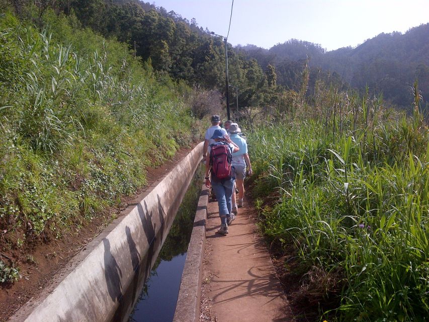 Madeira: Levado do Norte 2-Hour Hiking Tour - Who will enjoy this Madeira walk most