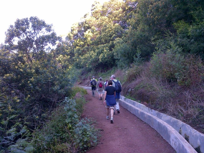 Madeira: Maroços Landscapes 2.5-Hour Guided Walk - Key points to know before booking