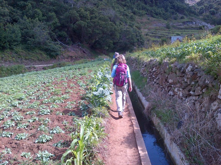 Madeira: Maroços Landscapes 2.5-Hour Guided Walk - Why the Maroços walk feels different