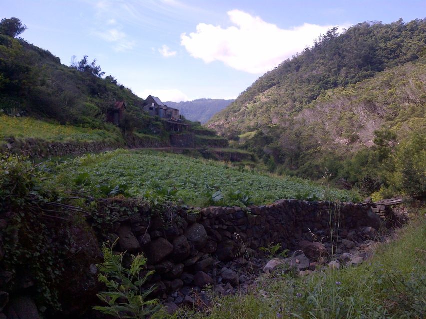Madeira: Maroços Landscapes 2.5-Hour Guided Walk - The value of the $33 price