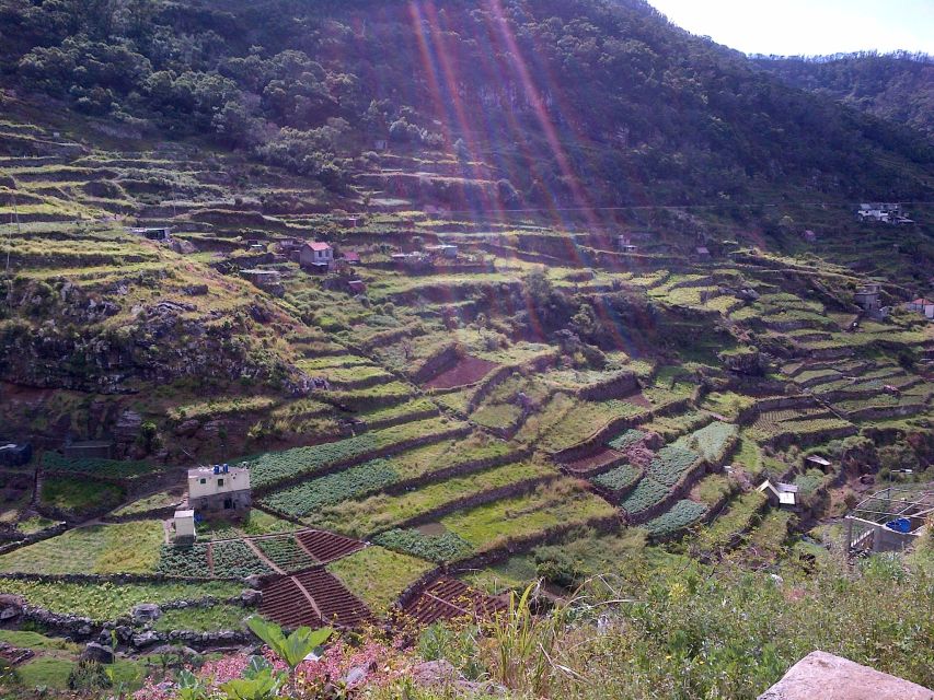 Madeira: Maroços Landscapes 2.5-Hour Guided Walk - Starting above Machico