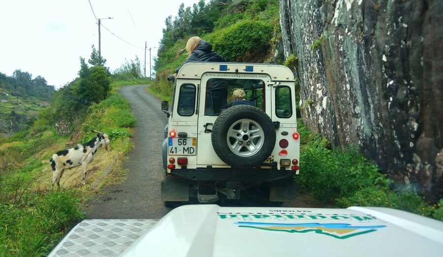 Madeira: Mini-Combo East Challenge: Jeep Safari + Levada - Why this four-hour Madeira outing works