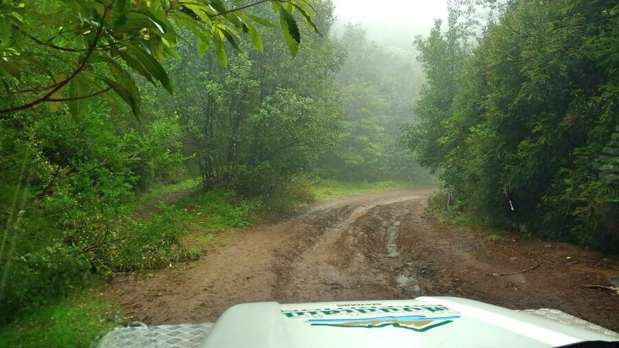 Madeira: Mini-Combo East Challenge: Jeep Safari + Levada - Reaching remote Morena by 4x4
