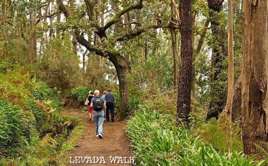 Madeira: Mini-Combo East Challenge: Jeep Safari + Levada - Santo da Serra and the changing island weather