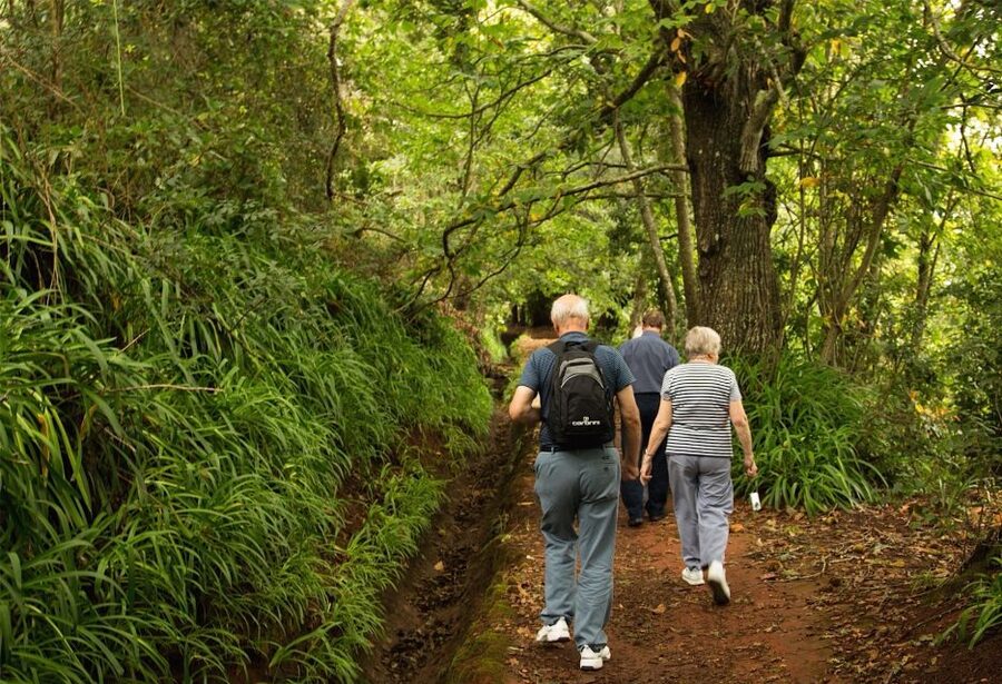 Madeira: Mini-Combo East Challenge: Jeep Safari + Levada - What the 4x4 format adds