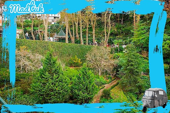 Madeira Monte Tobbogans and Old Town Tuk Tuk Tour by MadTuk - Is $48.19 a fair price?