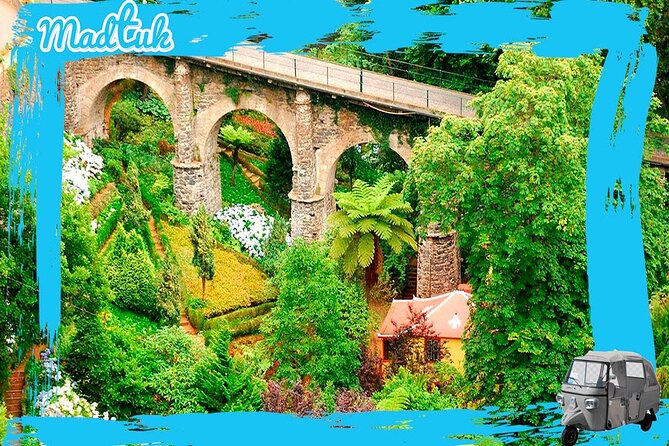 Madeira Monte Tobbogans and Old Town Tuk Tuk Tour by MadTuk - Who will enjoy this MadTuk tour?