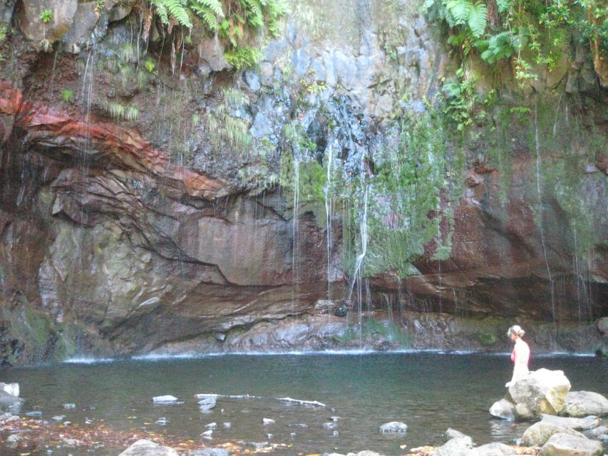 Madeira: Mountain Walk with Lagoon and Waterfalls - A closer look at the transport and timing
