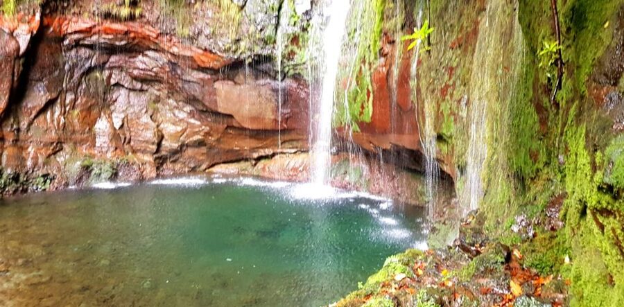 Madeira: Mountain Walk with Lagoon and Waterfalls - What your eight-hour day looks like
