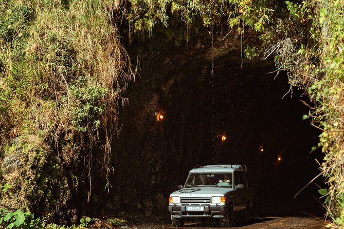 Madeira "Mystery Tour" - Full Day Private 4x4 Jeep - Food stops are flexible, and that is a strength
