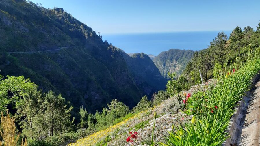 Madeira: Nun's Valley Private Tour - Why the valley is called Nun’s Valley