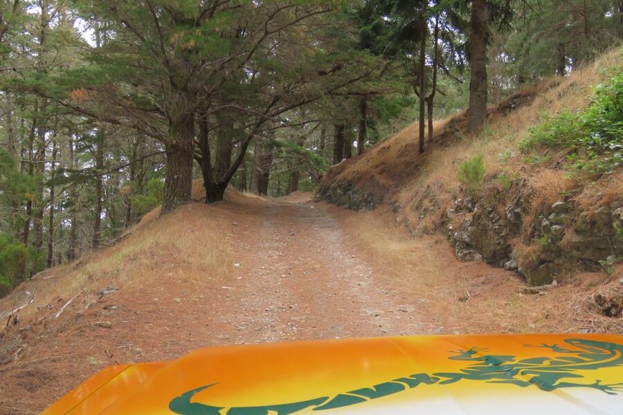 Madeira : Nun's Valleys and Pico Areeiro 4X4 Tour - What the $49 price really covers