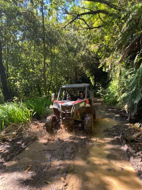 Madeira: Off-Road Buggy Driving Experience - Key points to know before you book