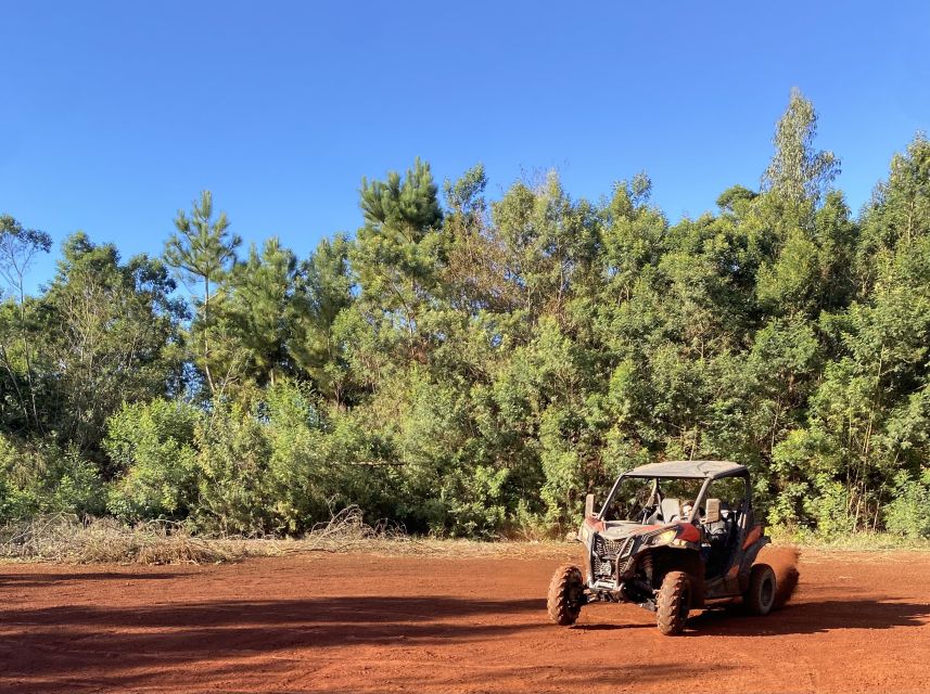 Madeira: Off-Road Buggy Driving Experience - Price, group size, and overall value