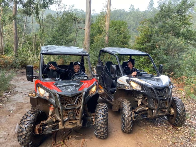 Madeira: Off-Road Buggy Driving Experience - Who should book this Madeira buggy tour