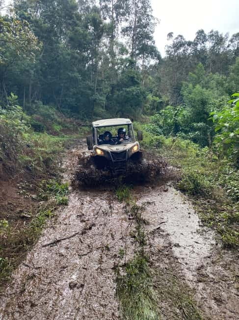 Madeira: Off-Road Buggy Driving Experience - A flexible choice for uncertain Madeira weather