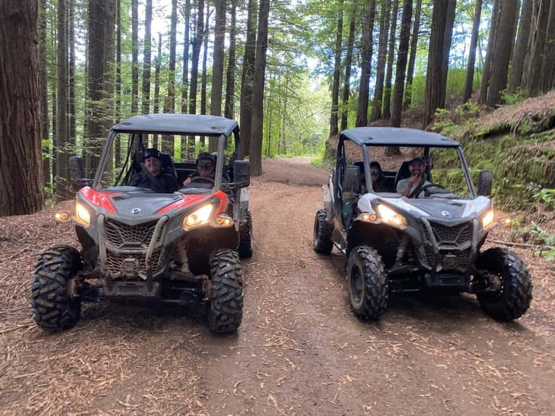 Madeira: Off-Road Buggy Driving Experience - Getting started with the buggy