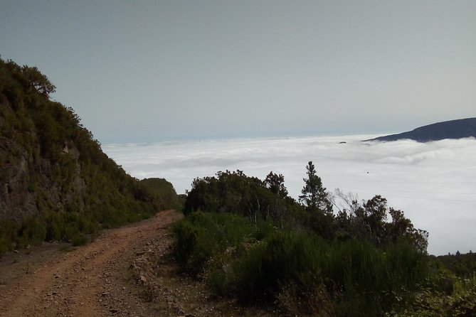 Madeira Off-Road Tours - Who should book this Madeira outing?