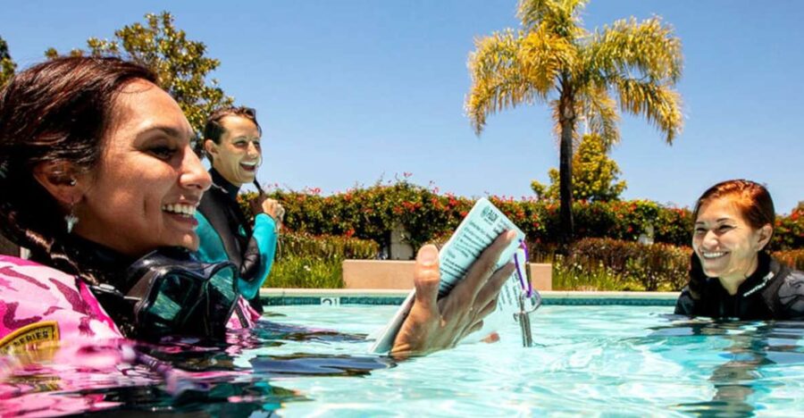 Madeira: Open Water Diver First Certification Course - Key points before you book