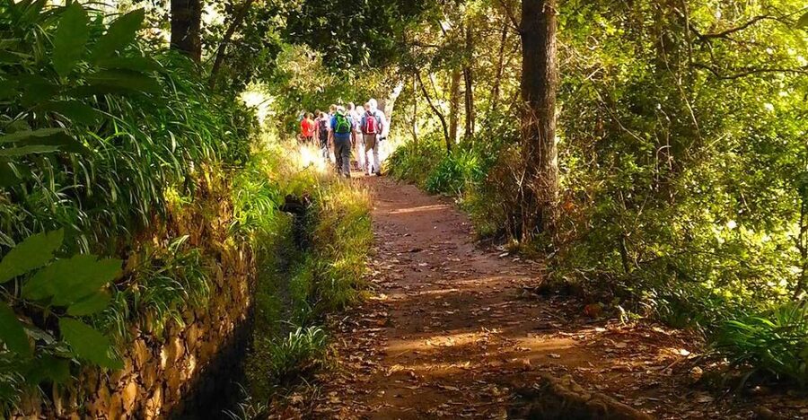 Madeira: Paradise Valley Levada Walk - Following Madeira’s old waterway