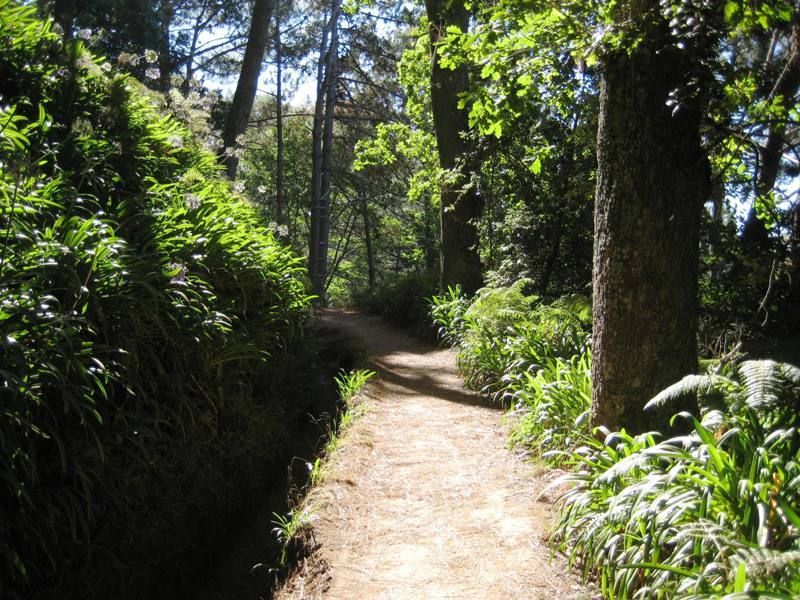 Madeira: Paradise Valley Levada Walk - Gardens and Madeira’s cultivated terraces