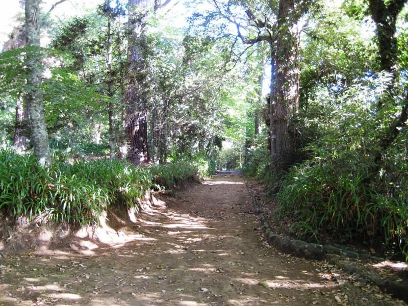 Madeira: Paradise Valley Levada Walk - The café and local fruit stop
