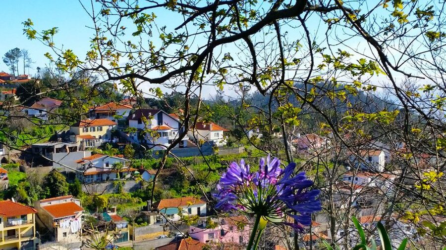 Madeira: Paradise Valley Levada Walk - What the $38 price covers