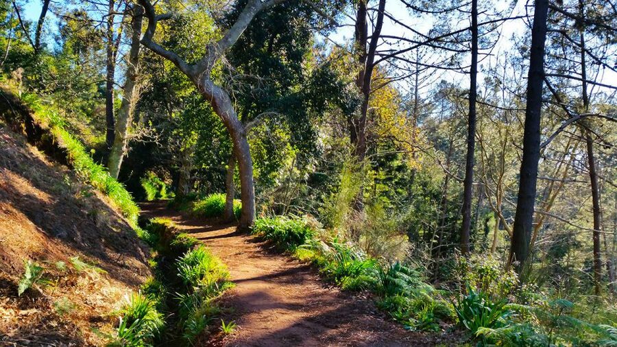 Madeira: Paradise Valley Levada Walk - Pickup details in Funchal and nearby areas