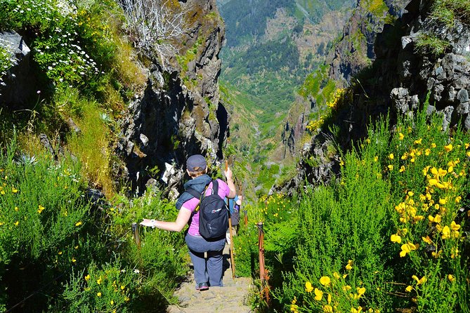 Madeira Peaks - Mountain Walk - Vereda do Pico Ruivo and Madeira’s old heather