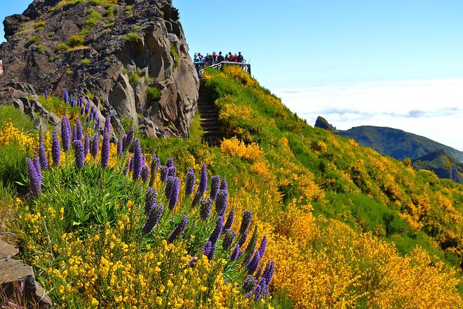 Madeira Peaks - Mountain Walk - When the weather or trail changes the plan