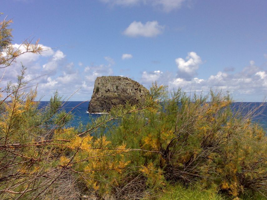 Madeira: Pico do Arieiro & Laurissilva Forest - East tour - Pico do Arieiro at 1,818 meters
