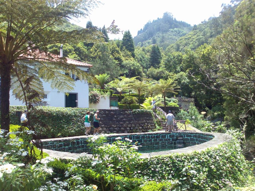 Madeira: Pico do Arieiro & Laurissilva Forest - East tour - Walking through the ancient Laurissilva Forest