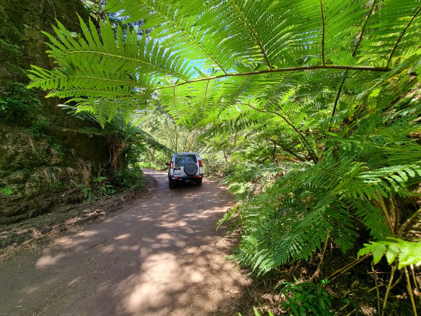 Madeira: Picturesque Peaks and Skywalk private 4x4 Jeep tour - Who will get the most from this outing