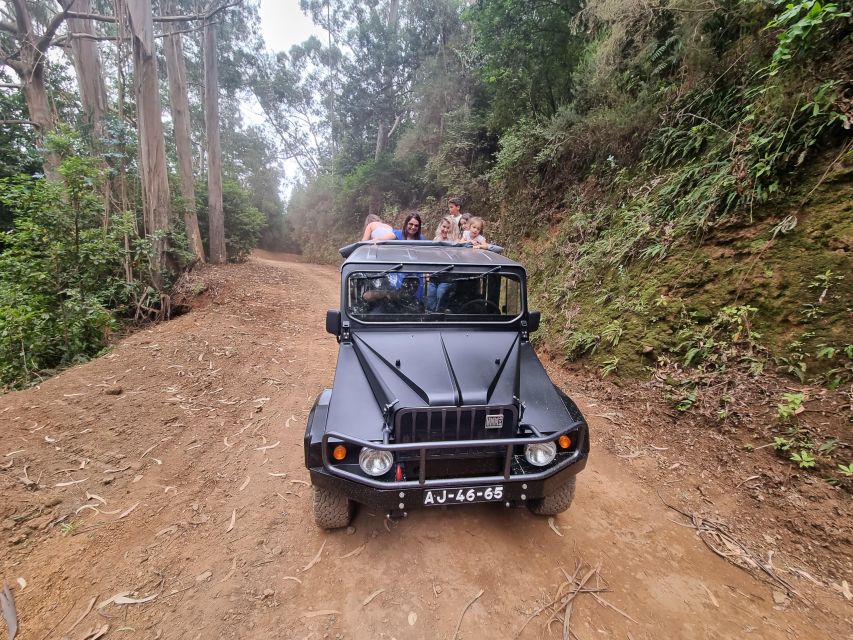 Madeira: Picturesque Peaks and Skywalk private 4x4 Jeep tour - Cabo Girão Skywalk: a dramatic final stop