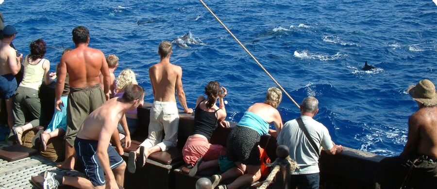 Madeira Pirate Ship: 3-Hour Boat Trip - Leaving Funchal Marina