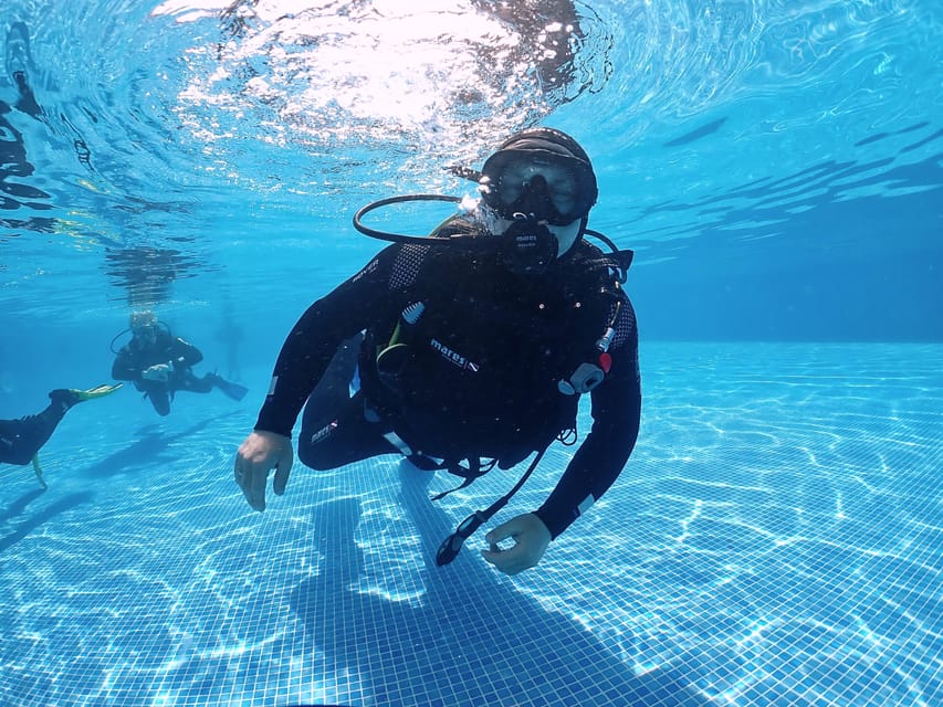 Madeira, Ponta São Lourenço: Scuba Diving for Beginners - What you might see below the surface