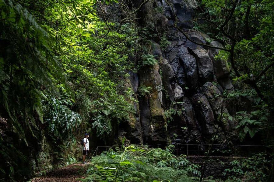 Madeira: PR 9 - Levada do Caldeirão Verde Hike Transfer - Why PR9 is one of Madeira’s most memorable walks