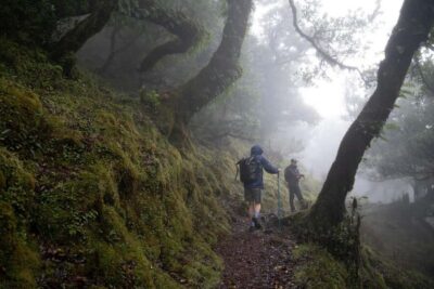 PR 9 – Levada do Caldeirão Verde Hike Transfer