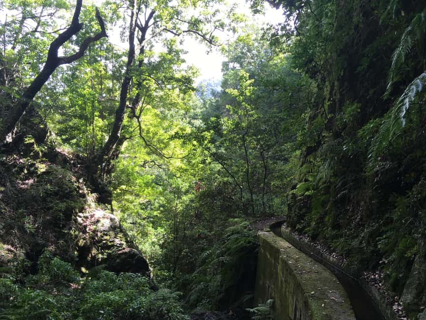 Madeira: PR 9 - Levada do Caldeirão Verde Hike Transfer - A self-guided walk with a safety net