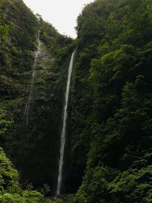 Madeira: PR 9 - Levada do Caldeirão Verde Hike Transfer - Timing, food, and the practical details
